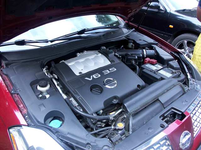 PICT0074.JPG